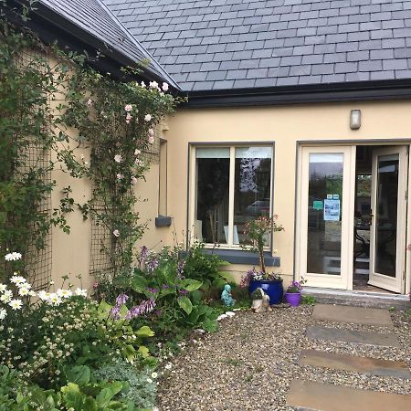 Atlantic Garden Lodge,Art Studio &Garden Lisdoonvarna Exterior foto