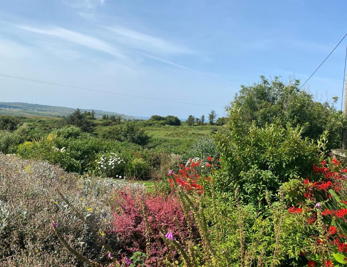 Atlantic Garden Lodge,Art Studio &Garden Lisdoonvarna Exterior foto
