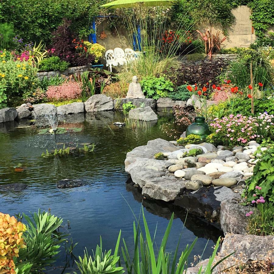 Atlantic Garden Lodge,Art Studio &Garden Lisdoonvarna Exterior foto
