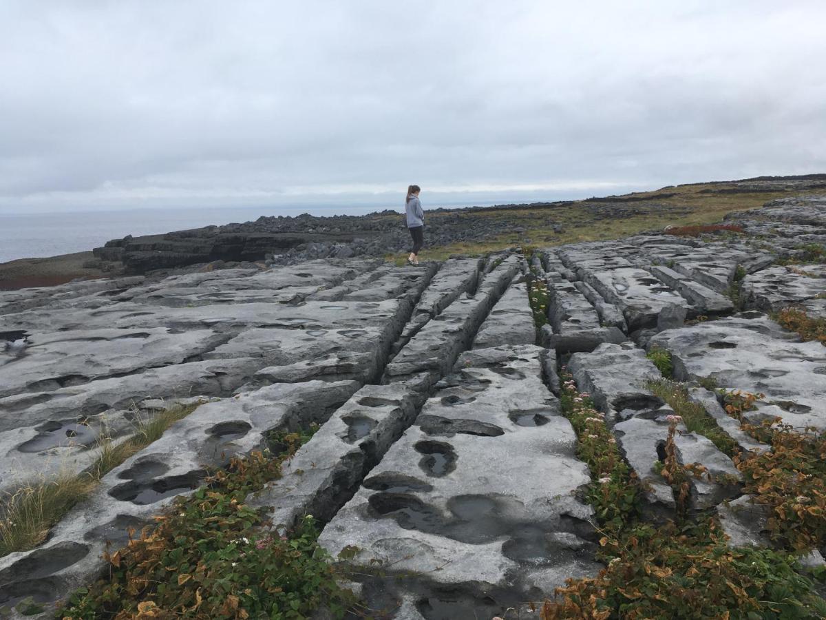 Atlantic Garden Lodge,Art Studio &Garden Lisdoonvarna Exterior foto